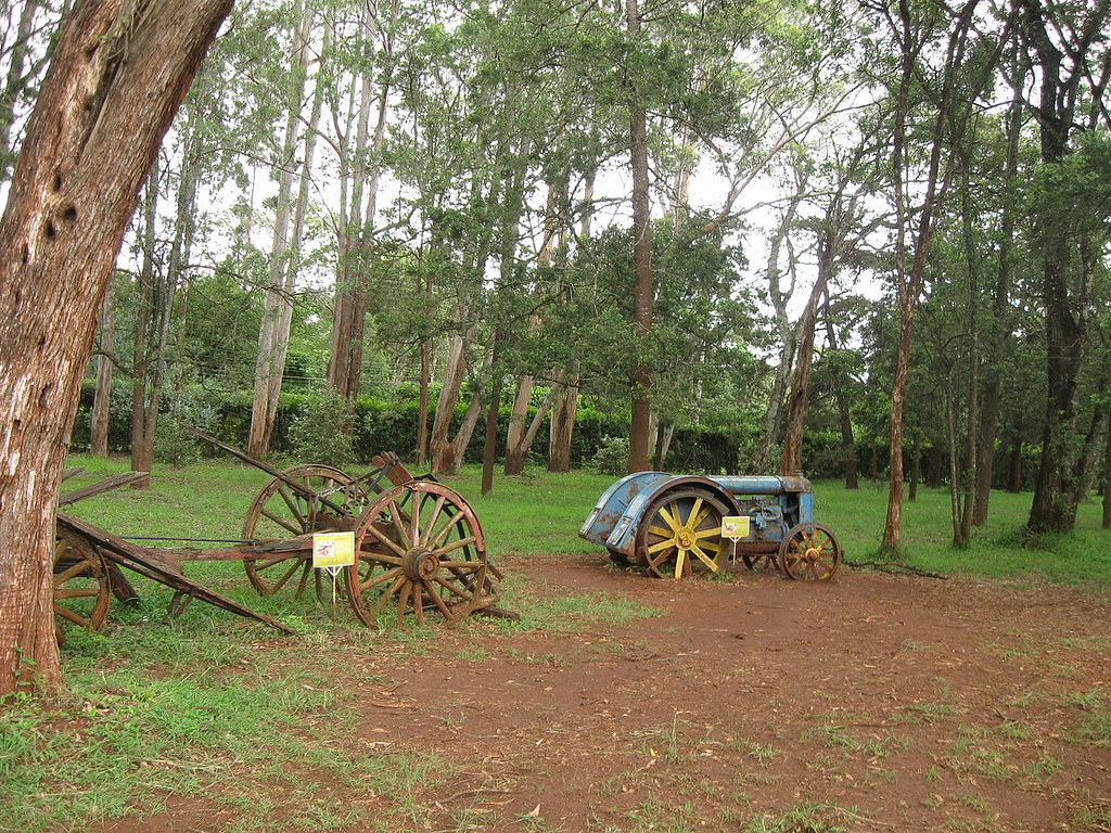 Farm equipment at the Karen Blixen Museum in Kenya.
