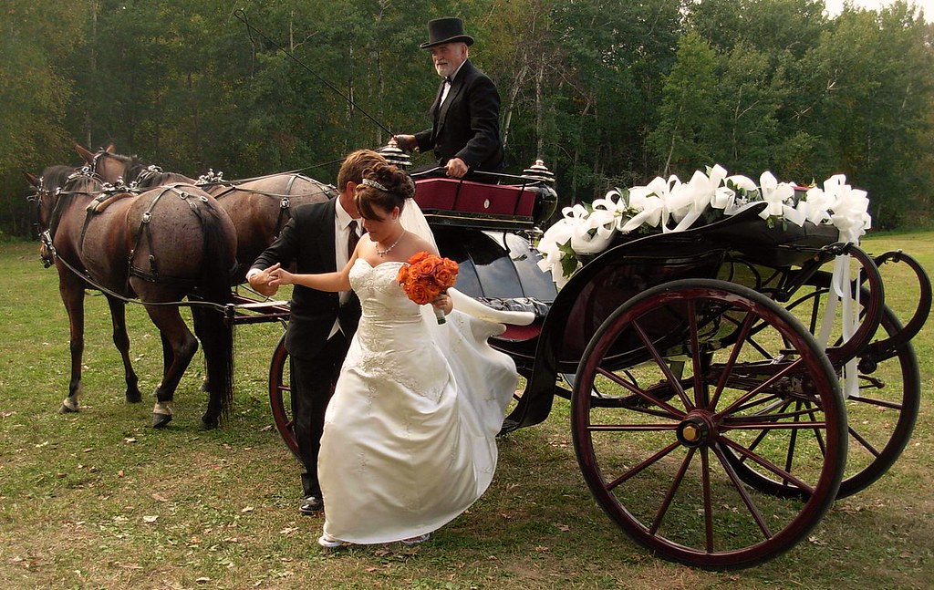 Bride in a white dress descends from an open horse-drawn carriage decorated with ribbons at a wedding in Minnesota. Credit Jonathunder