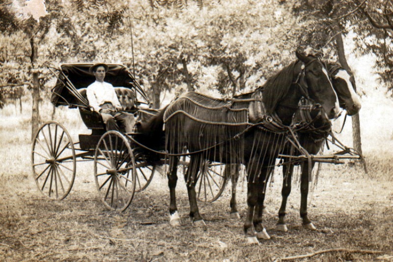 A horse and buggy circa 1910