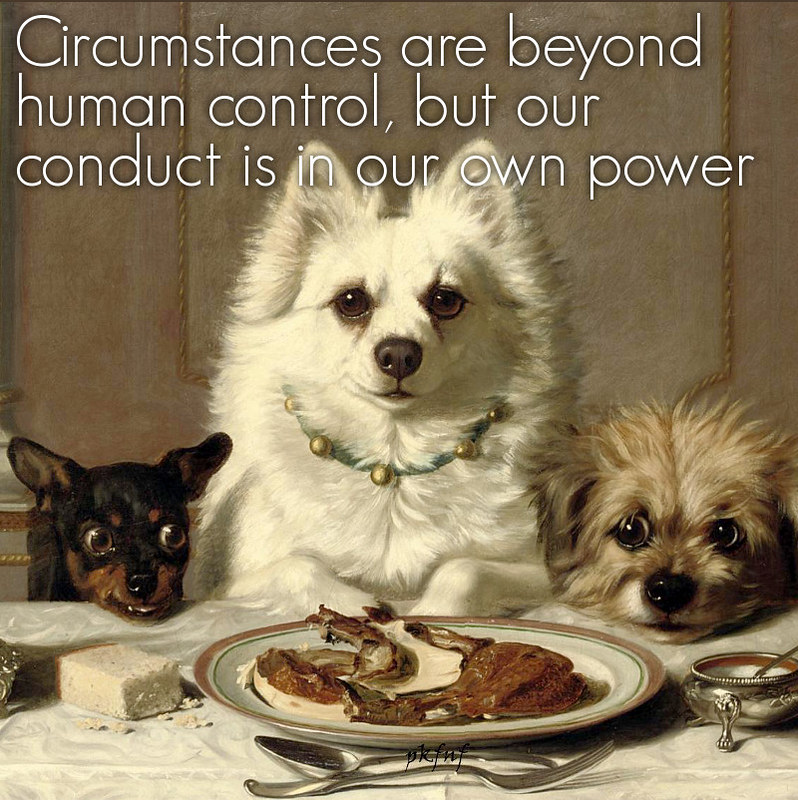 Exemplary behavior by Horatio Henry Couldery (United Kingdom, 1832 - 1893)