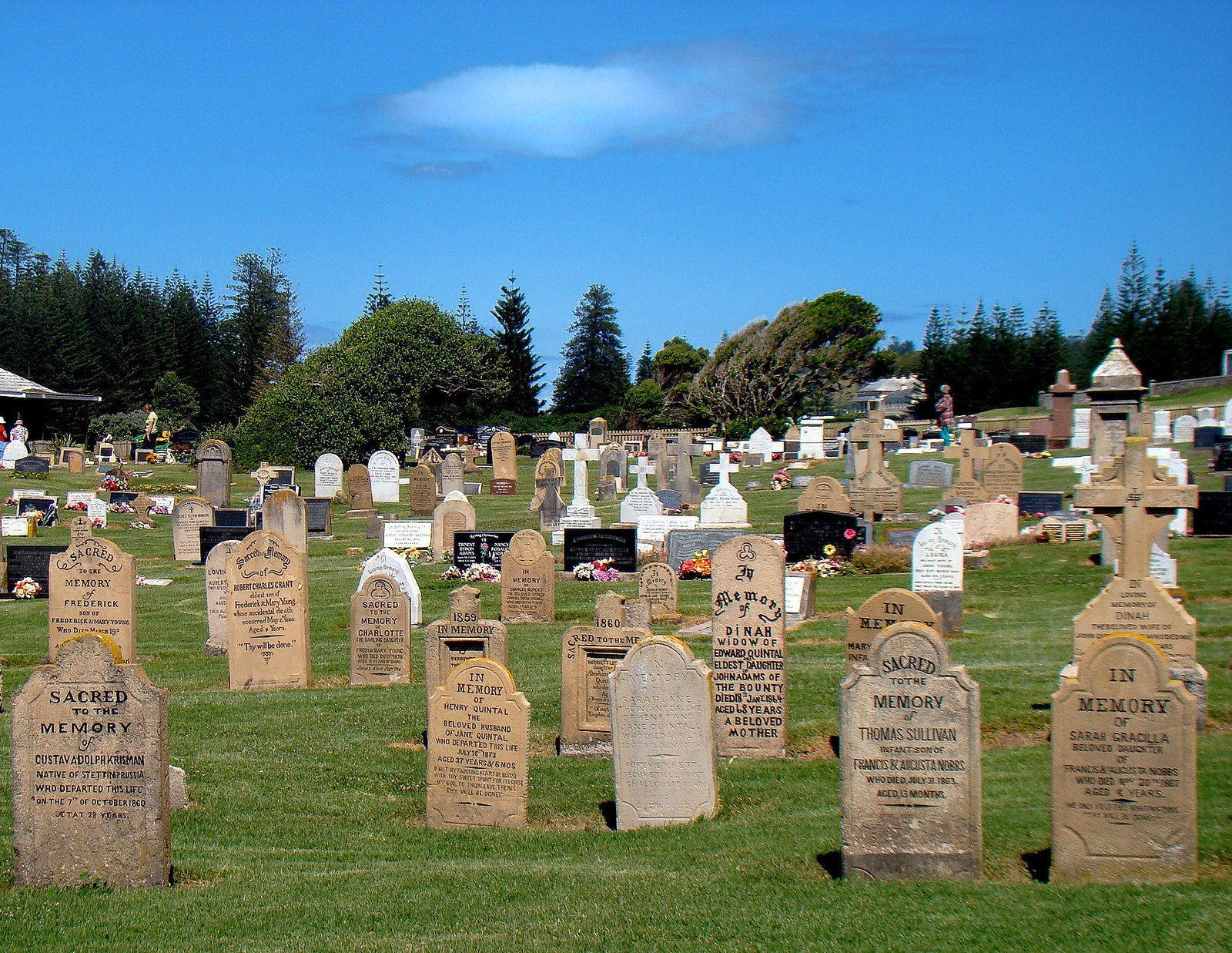 Norfolk Island Cemetery. Image credit Bob Hall.