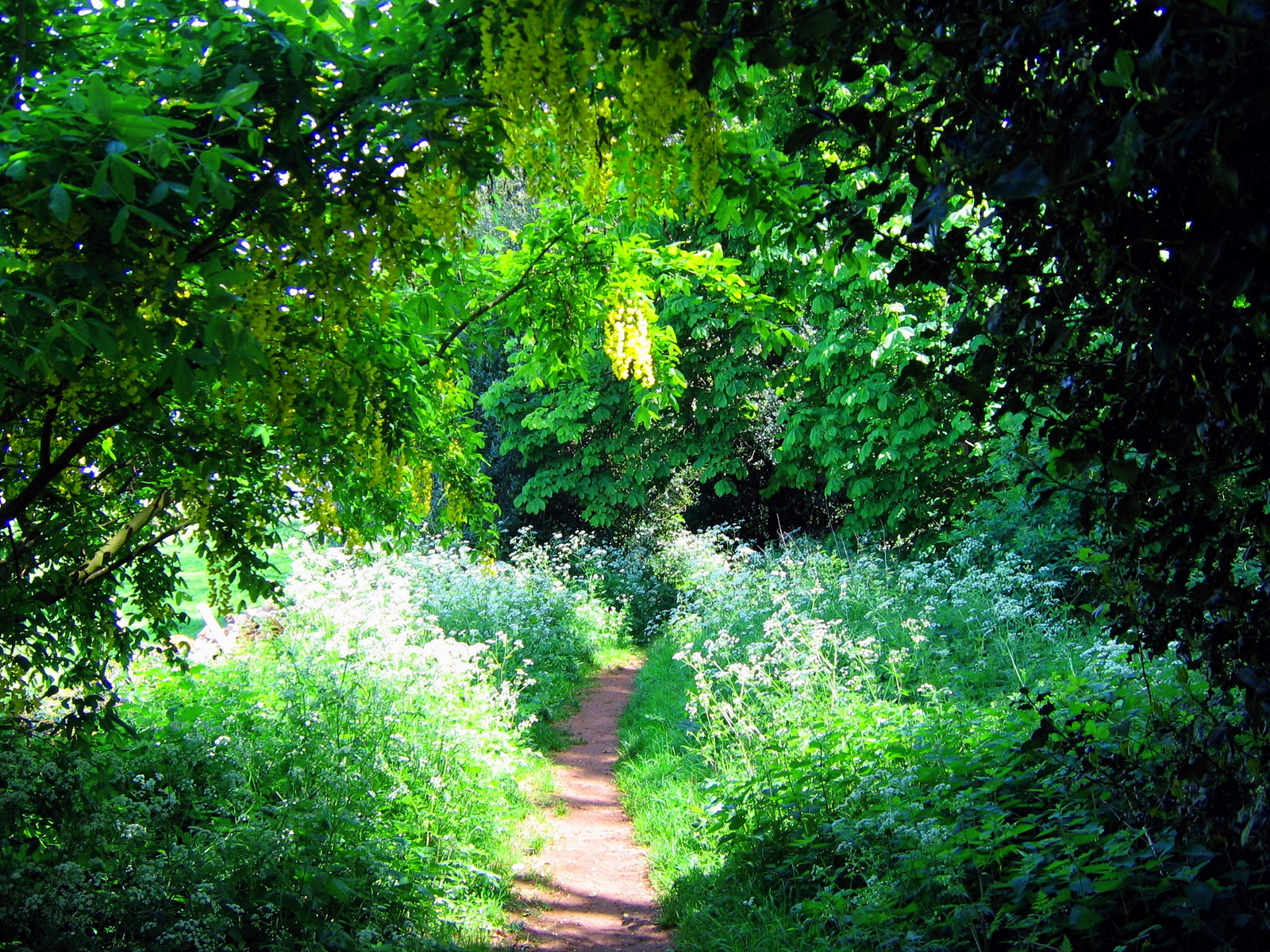 A footpath in Blockley, Cotswolds, Gloucestershire. Credit JR P
