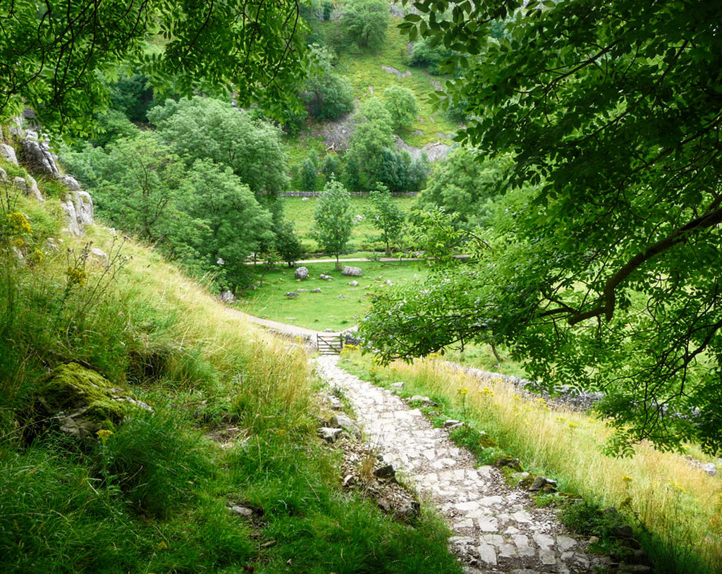 Public footpath near Malham in the Yorkshire Dales. Credit Immanuel Giel