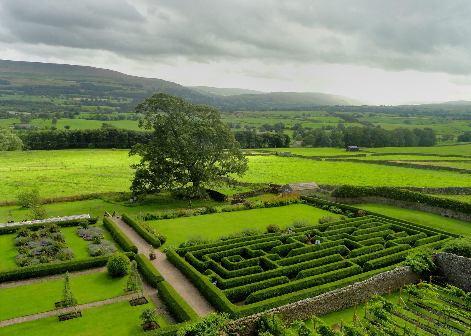 Bolton Castle Maze, Wensleydale. Credit Peter Hughes