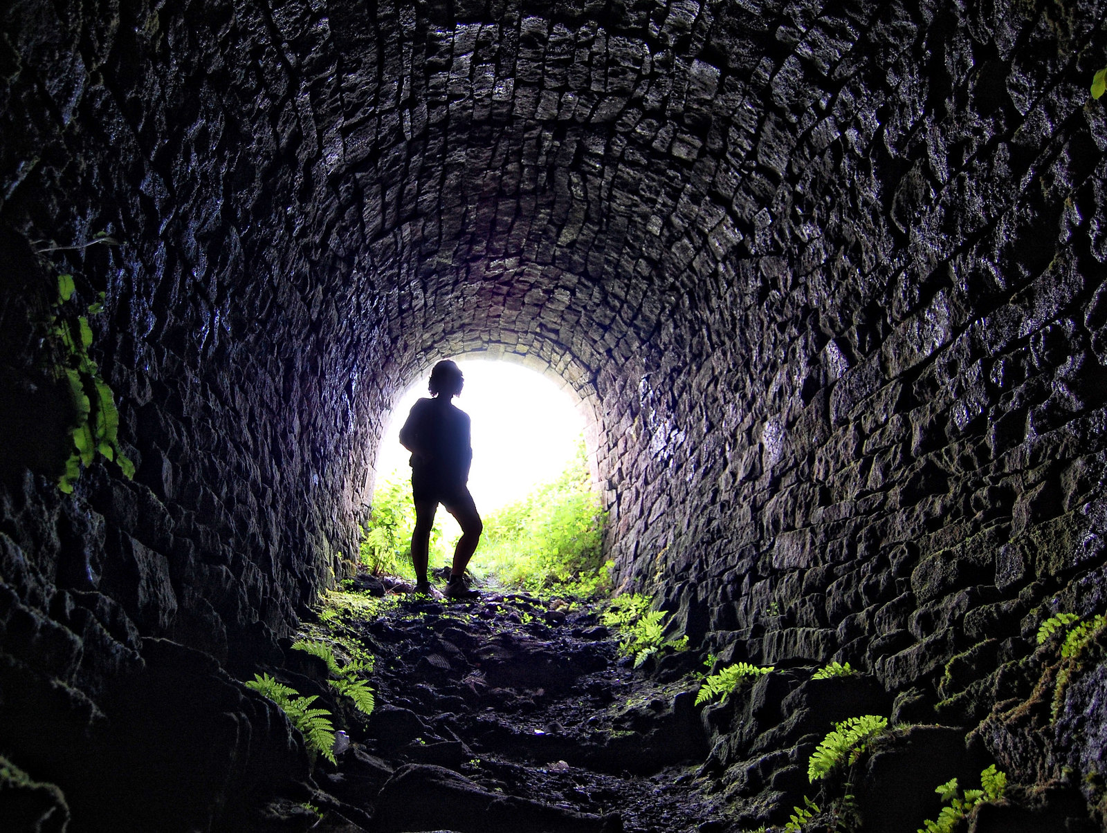 Yarnbury Lead Mine entrance. Grassington. Credit Tom Blackwell