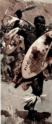 Zulu warriors
