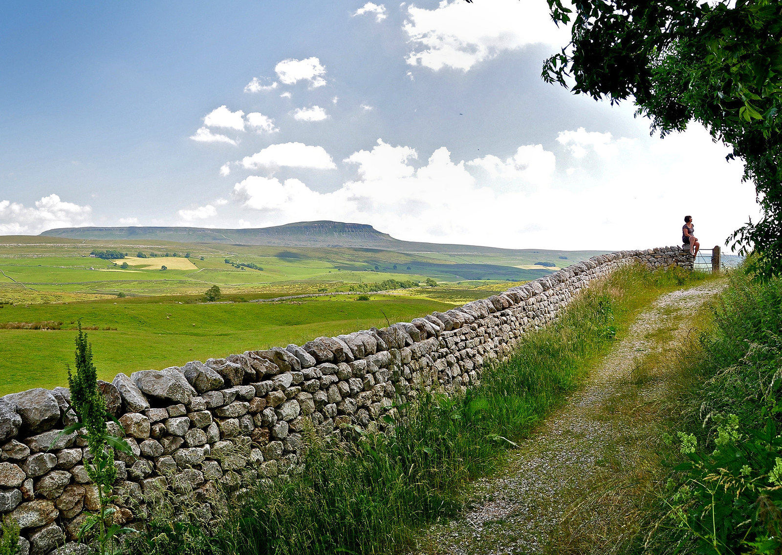 Ribblesdale with Pen-y-Ghent peak in the background. Credit Darkroom Daze