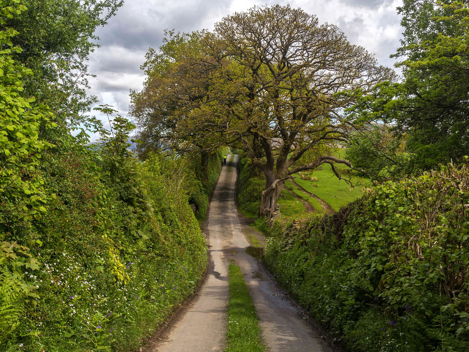 Jordan Lane near Sedbergh, Yorkshire Dales