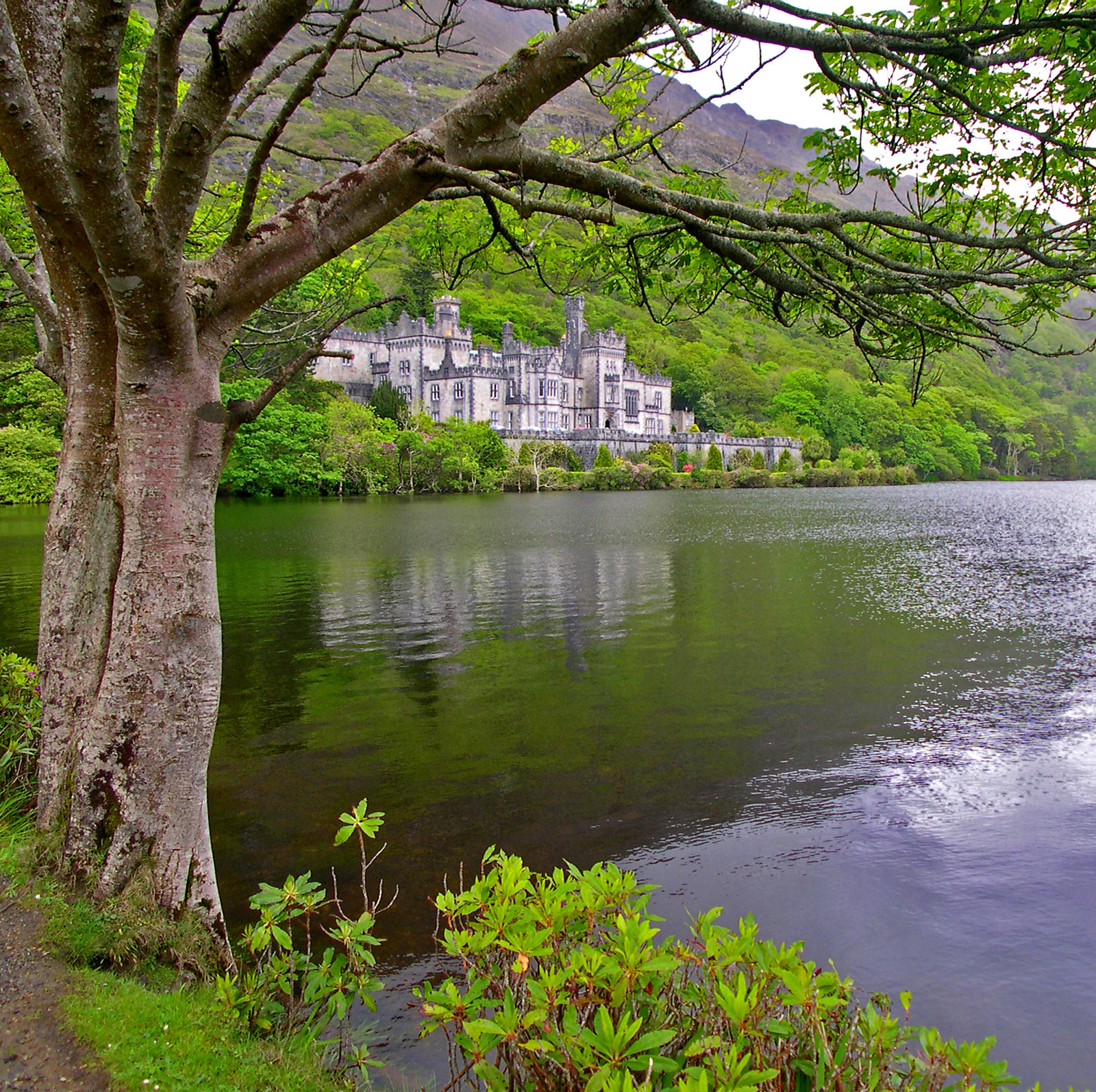 Kylemore Abbey, Letterfrack, Co. Galway. Credit Jim