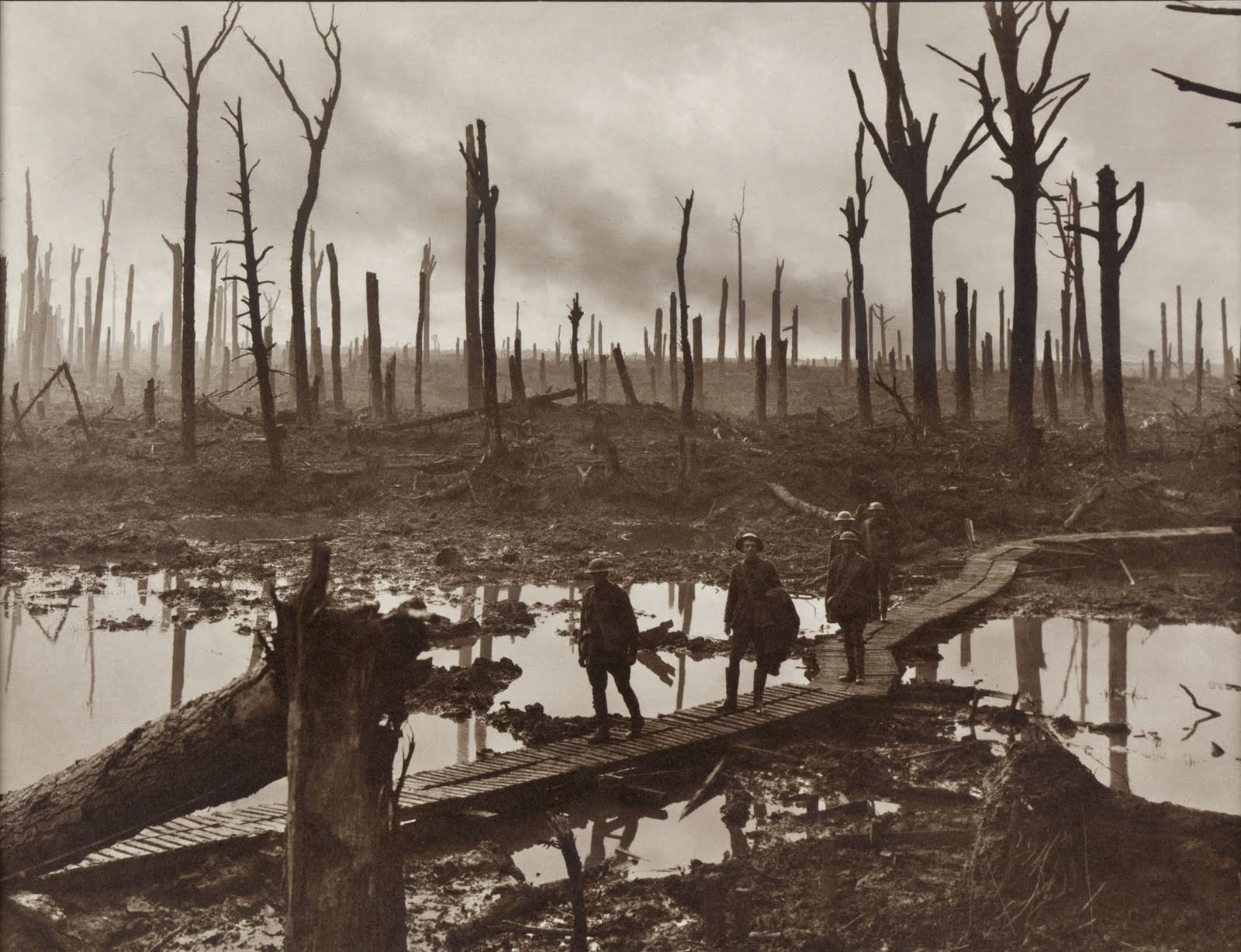 Chateau Wood Ypres, 1917