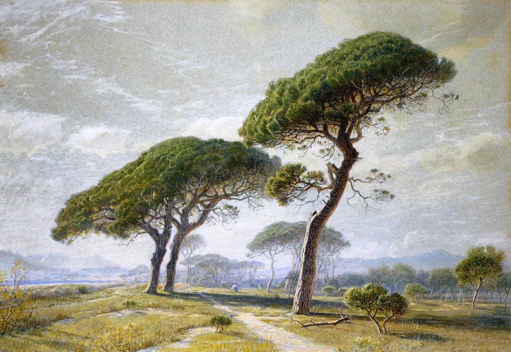 View of Cannes with Parasol Pines by William Stanley Haseltine, 1869