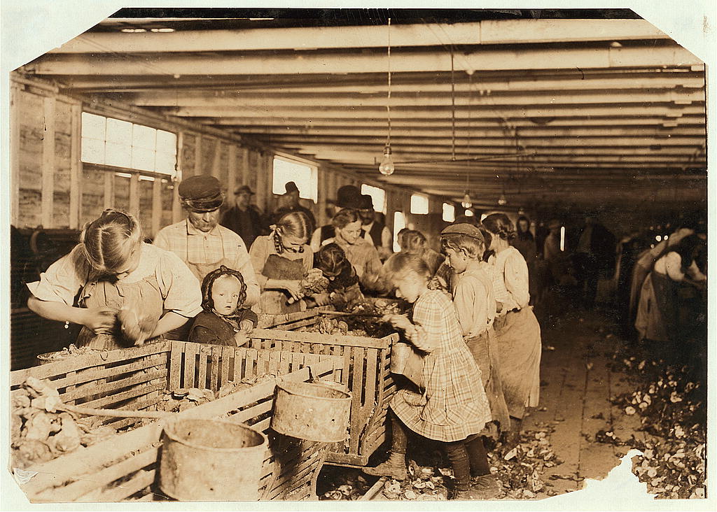 Rosy, an eight-year-old oyster shucker who works steady all day from about 3:00 A.M. to about 5 P.M. in Dunbar Cannery. The baby will shuck as soon as she can handle the knife. Location: Dunbar, Louisiana.