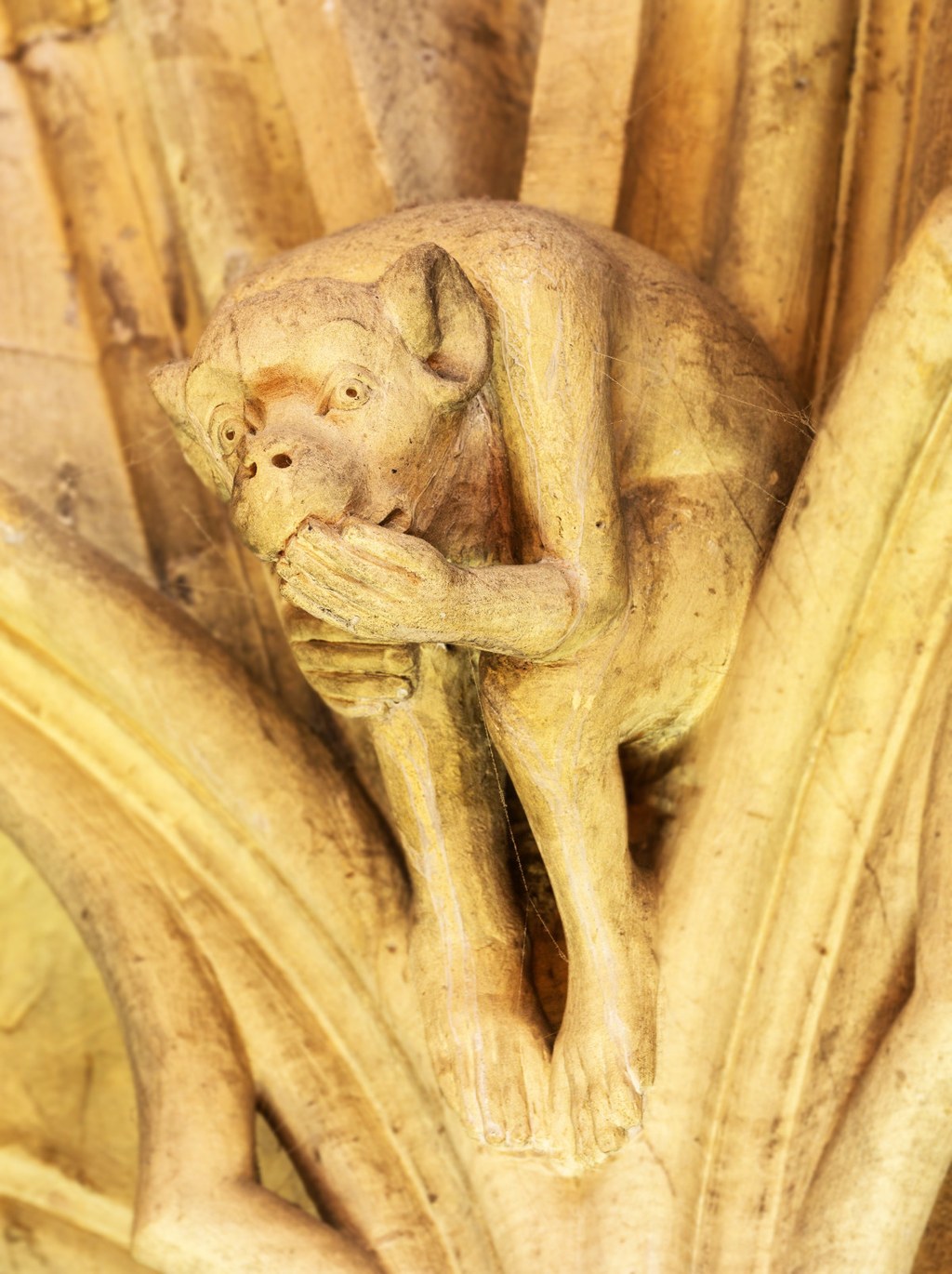 Grotesque. Credit David Iliff