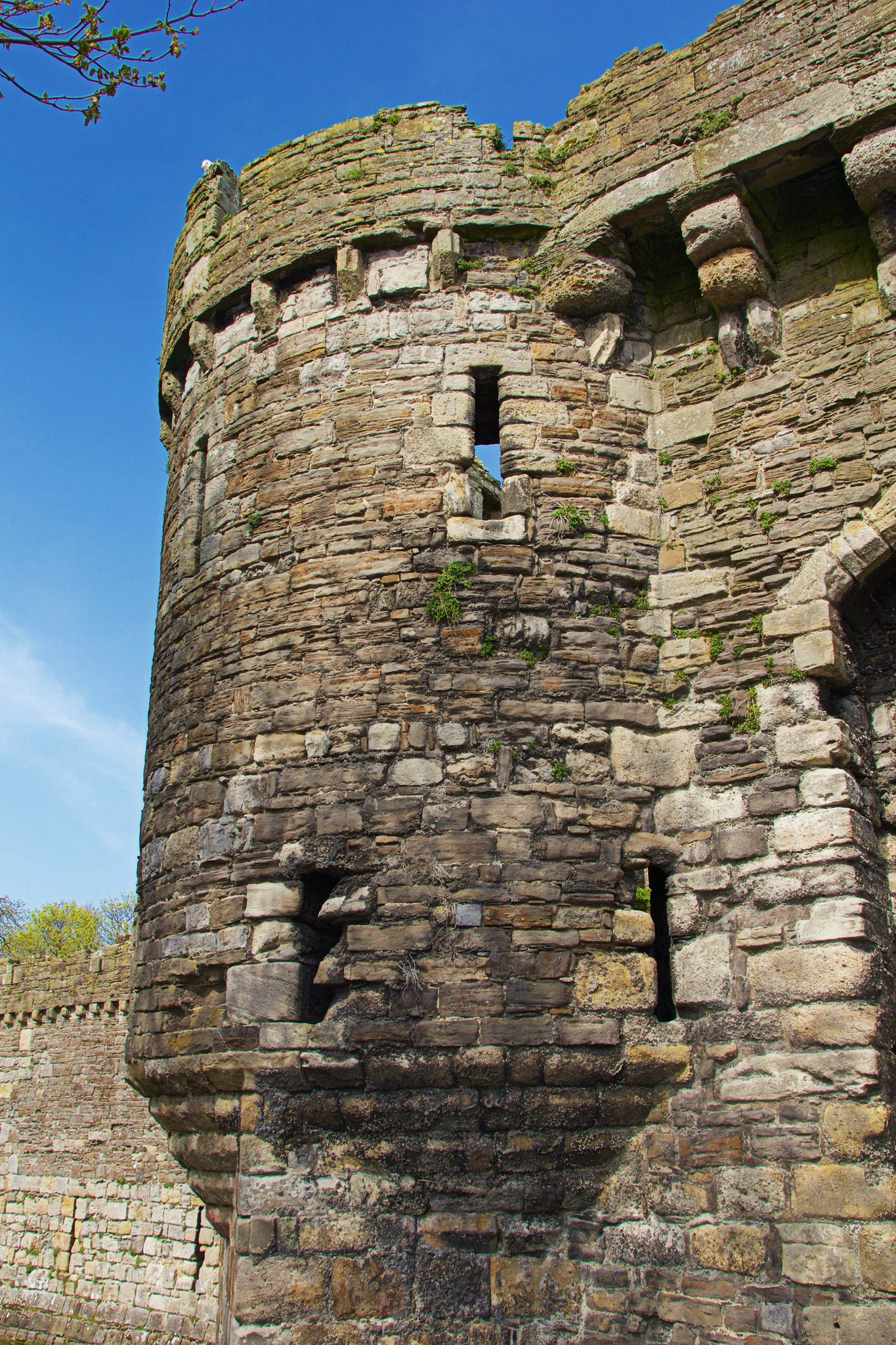Beaumaris Castle. Credit Mike Peel