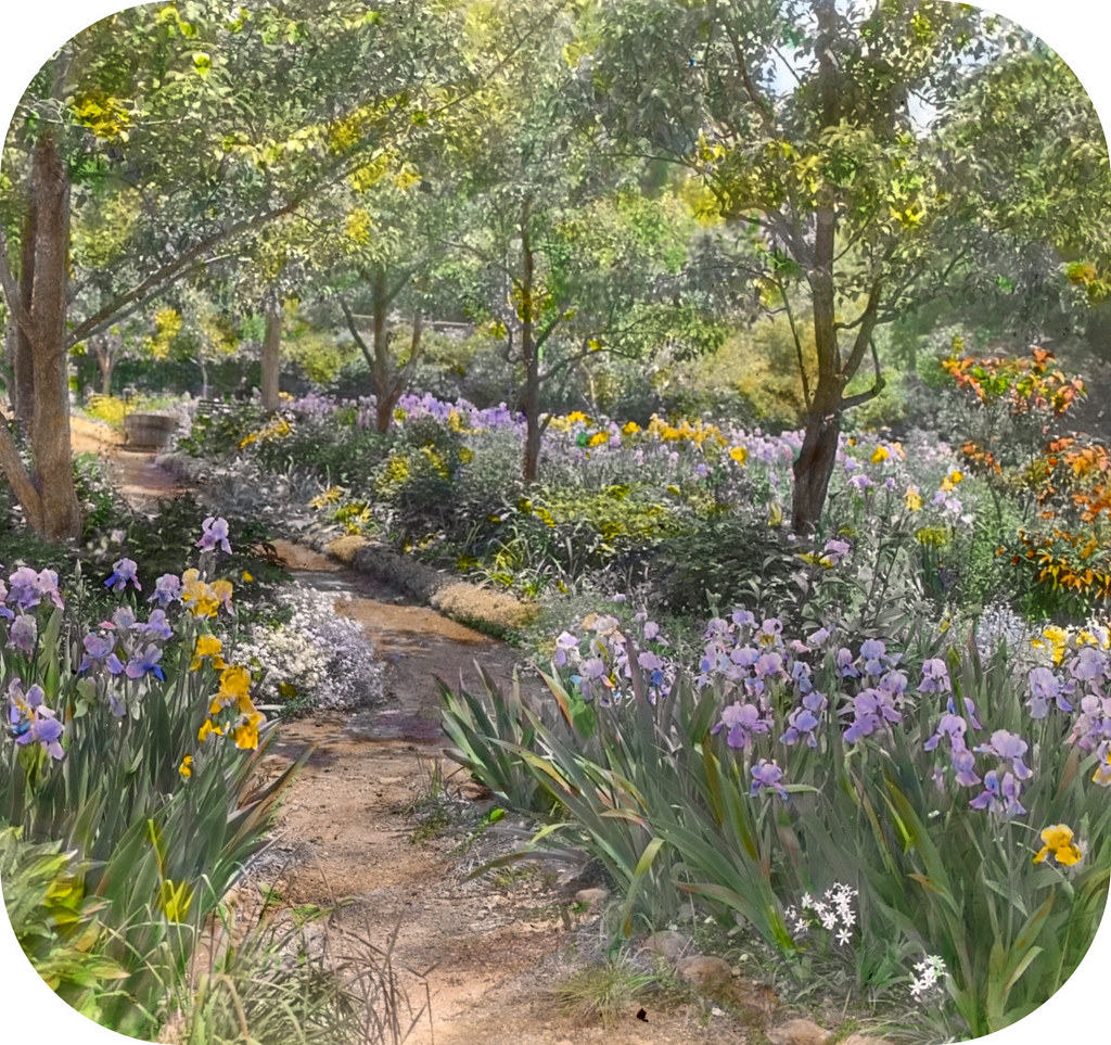 'Willowmere,' Rear Admiral Aaron Ward house, 435 Bryant Avenue, Roslyn Harbor, New York Iris beds