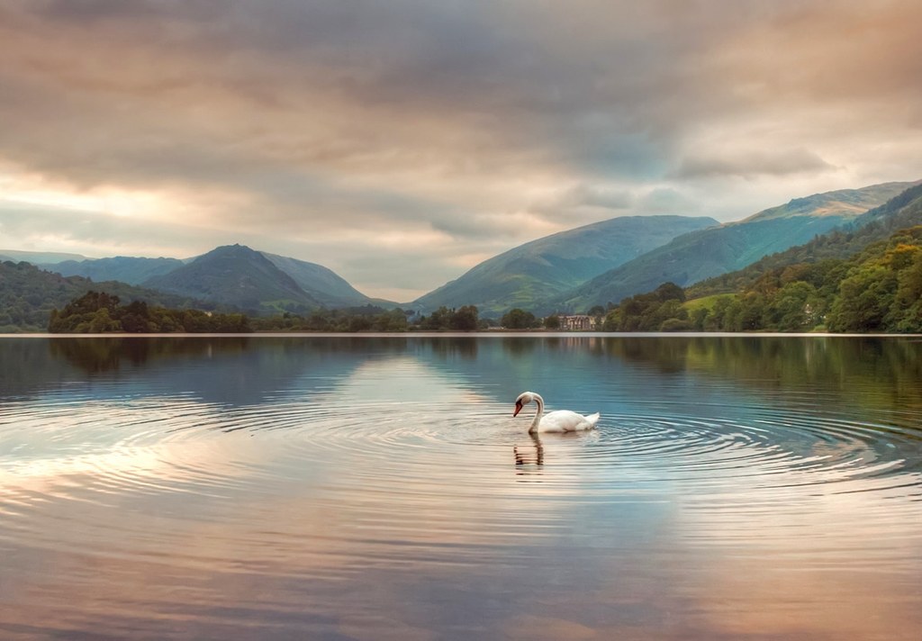 Grasmere, Lake District. Credit Derek Finch, flickr