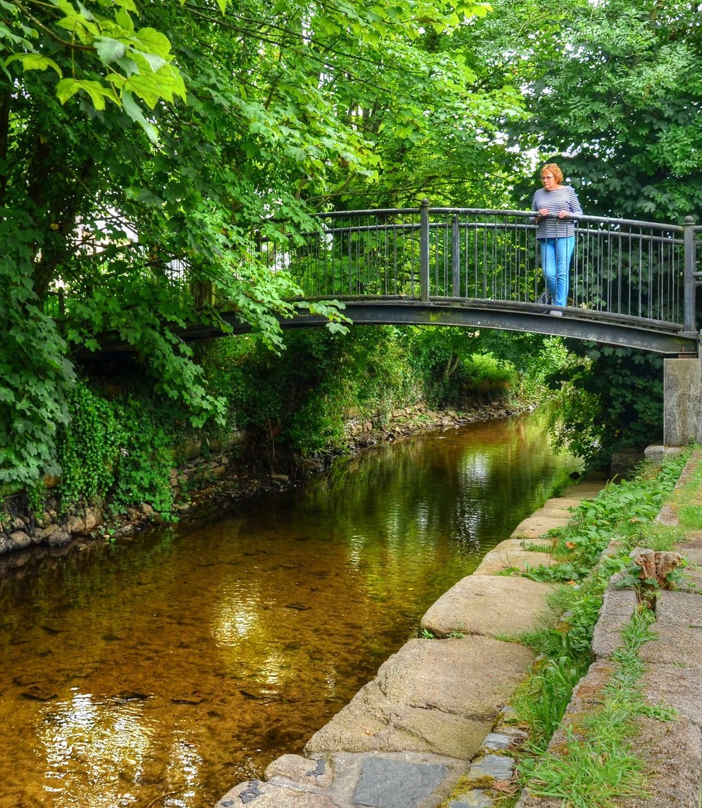 The Tavistock Canal, Tavistock, Devon. Credit Baz Richardson, flickr