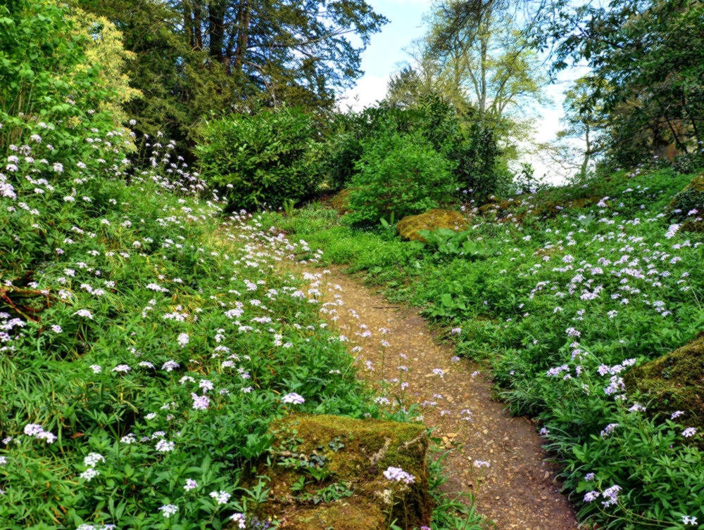 The path less traveled on the wilder side of Stowe Gardens. Credit Baz Richardson, flickr