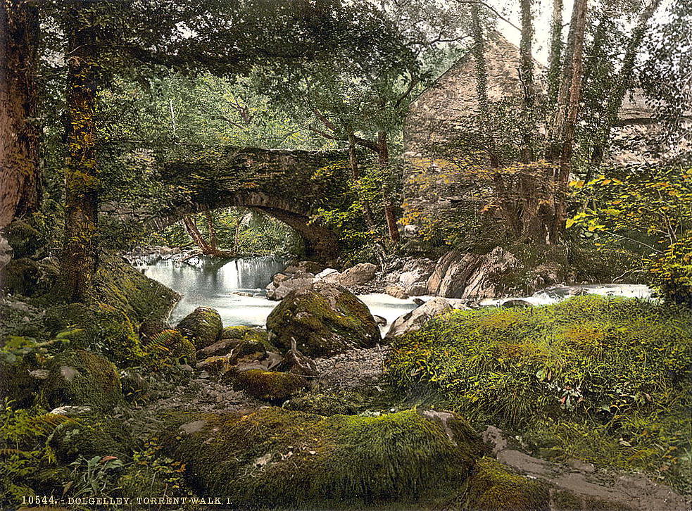 Torrent Walk, Dolgelly