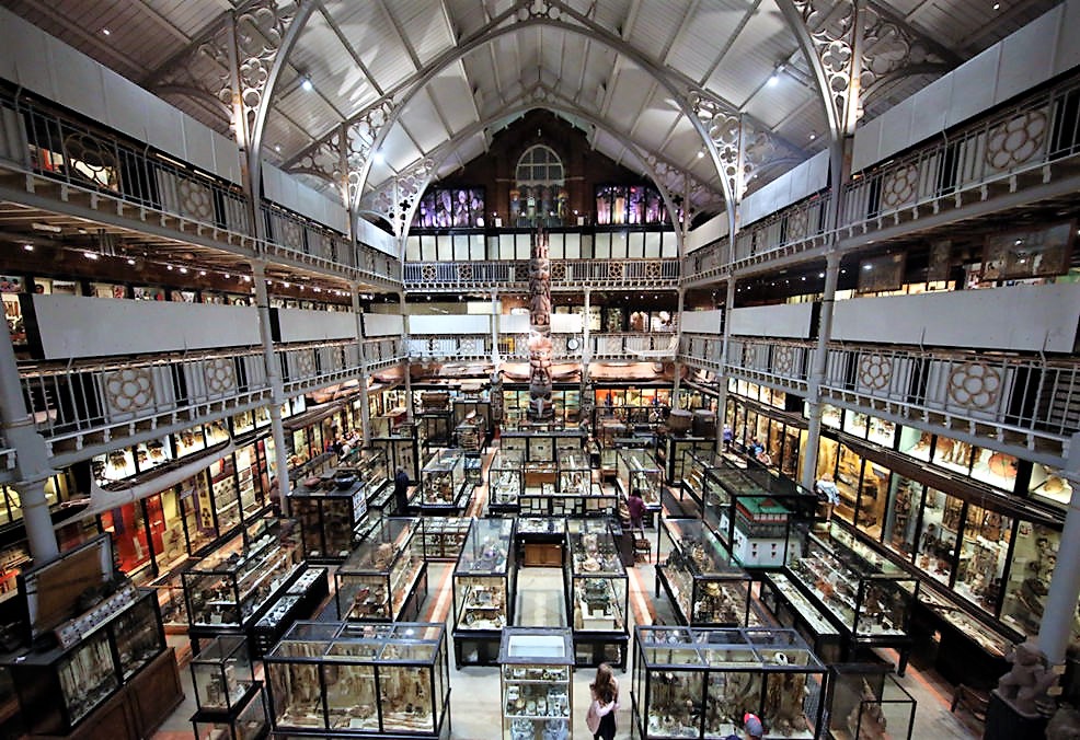 Pitt Rivers Museum, Oxford. Credit Geni