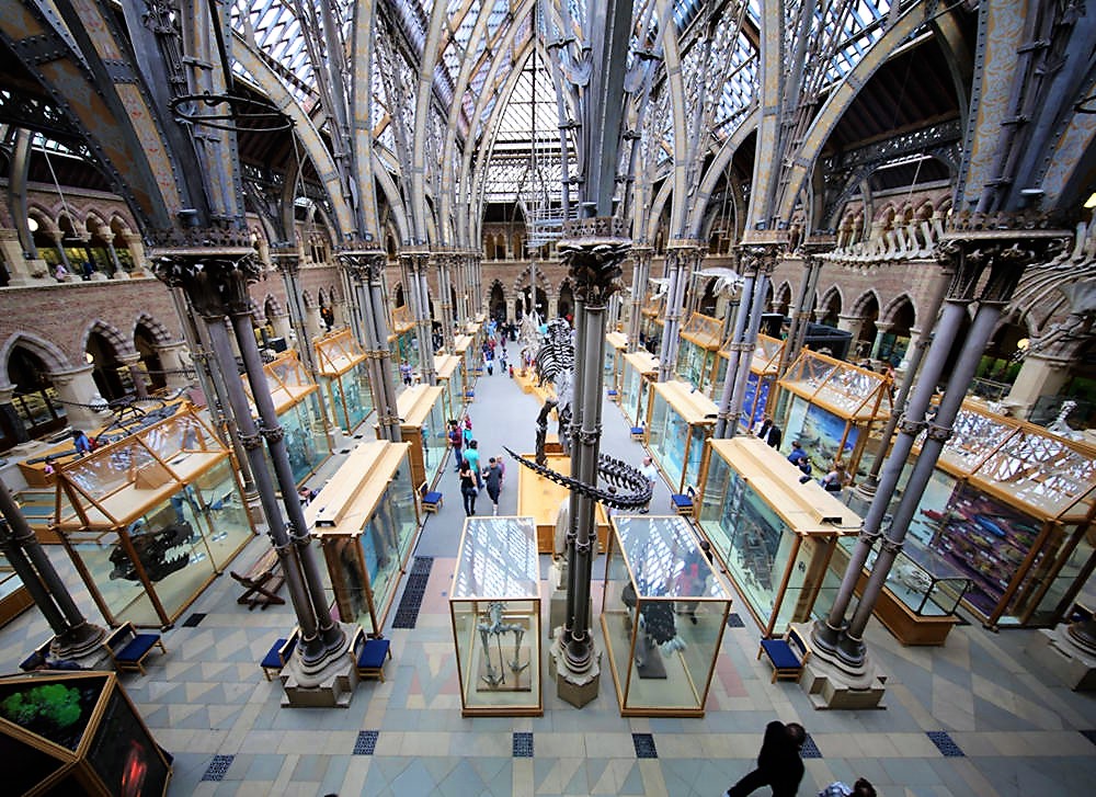 Oxford University Museum of Natural History. Credit Geni
