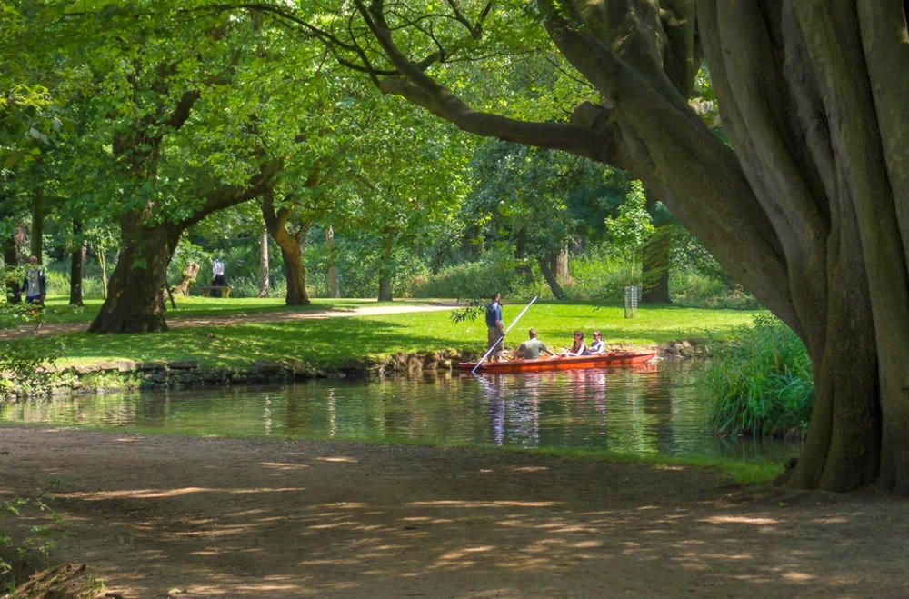 Christ Church Meadow Walk, Oxford. Credit Ed Webster