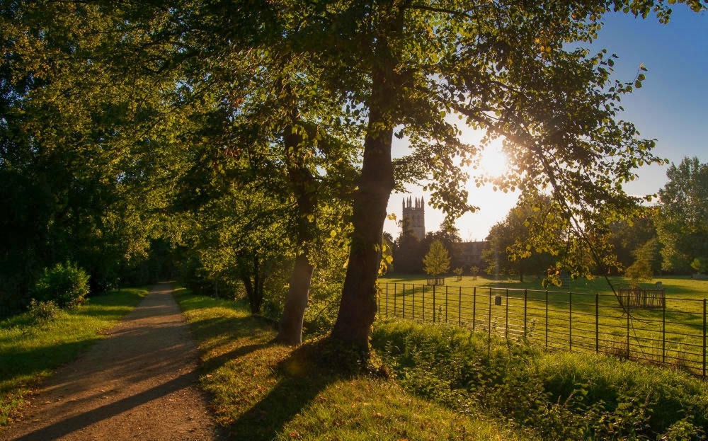An evening walk, Oxford. Credit Meraj Chhaya