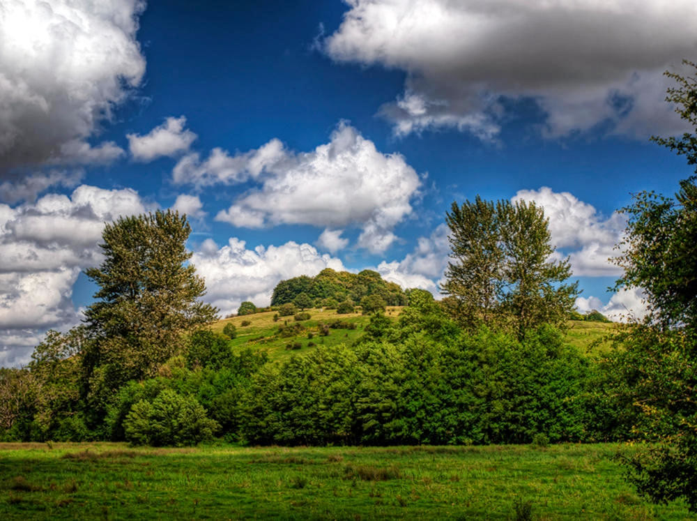 St. Catherine's Hill in Winchester is an Iron age Hill Fort. Credit Neil Howard, flickr