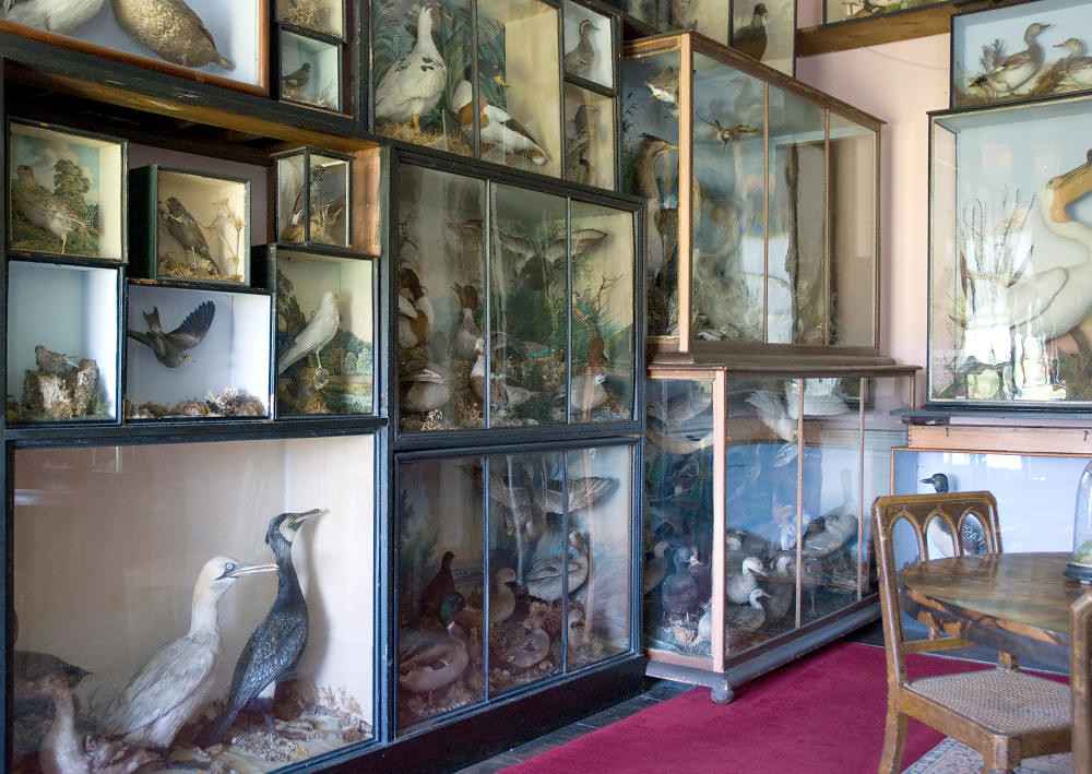Bird showcases at Callke Abbey, Derbyshire. Credit Thomas Quine