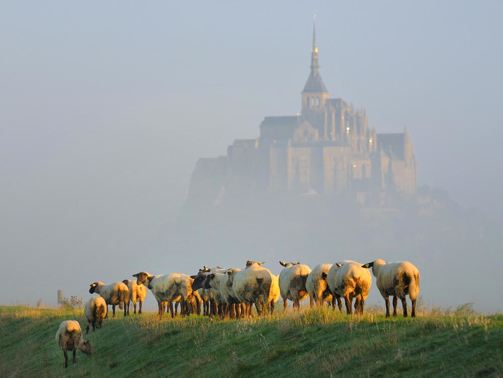 Mont Saint-Michel in September morning. Credit Vlasenko