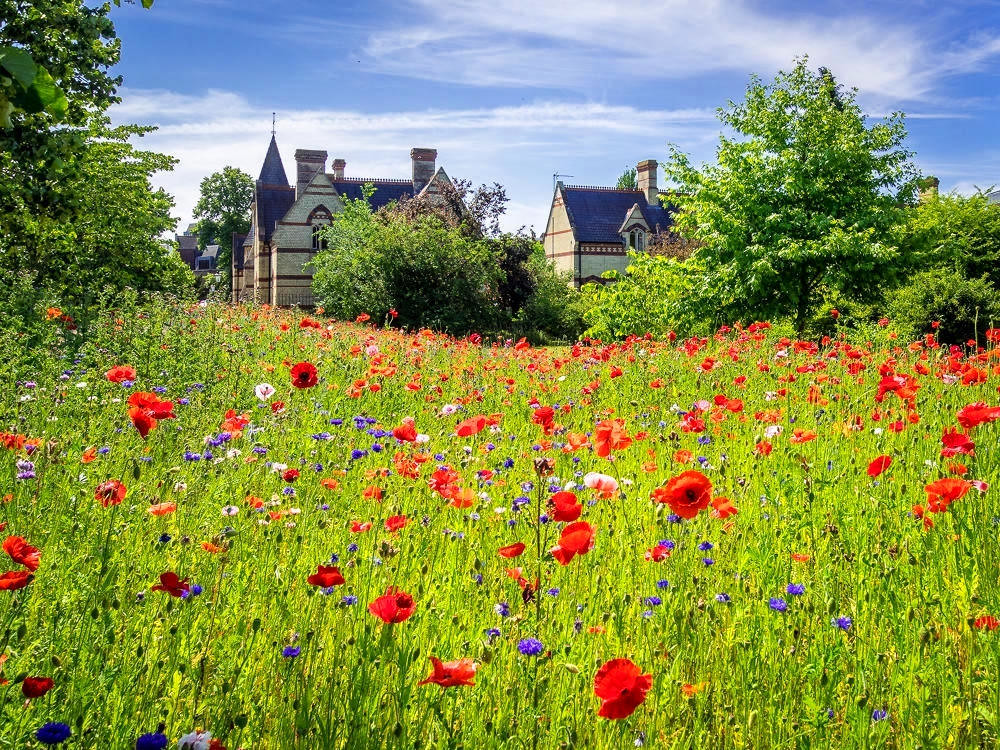 Cambridge University Botanic Garden. Credit Bob Radlinski, flickr