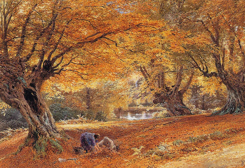 Burnham Beeches by Myles Birket Foster (1825 - 1899)