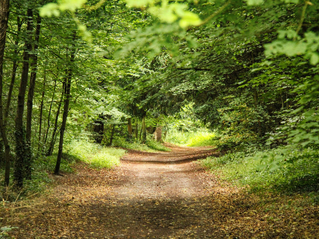A walk from Coln St Aldwyns to Bibury. Credit Jon Mountjoy, flickr