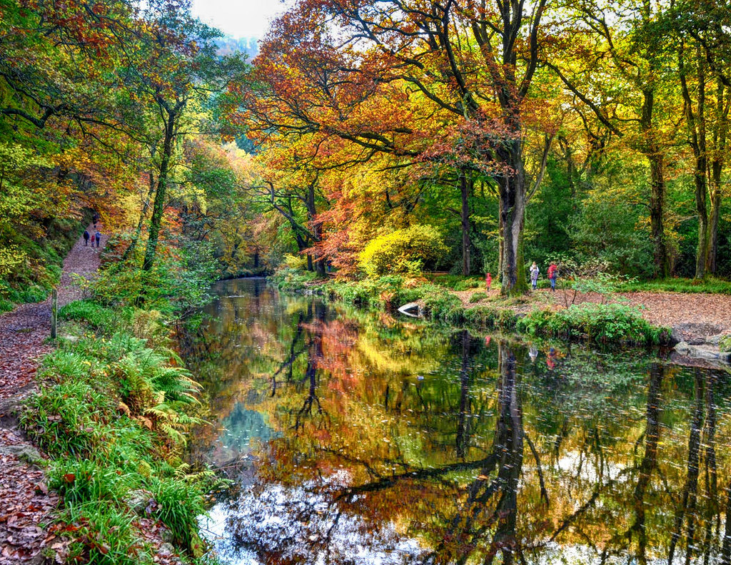 The Teign Gorge, Devon. Credit Baz Richardson, flickr