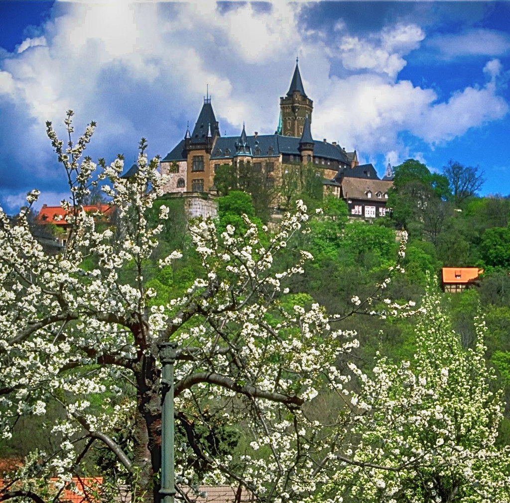 Wernigerode Castle. Credit Andreas Tille