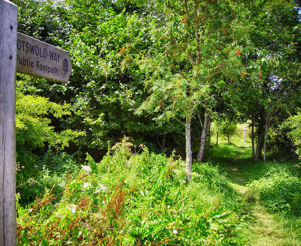 Cotswold Way at Battle of Lansdown. Credit Ballista