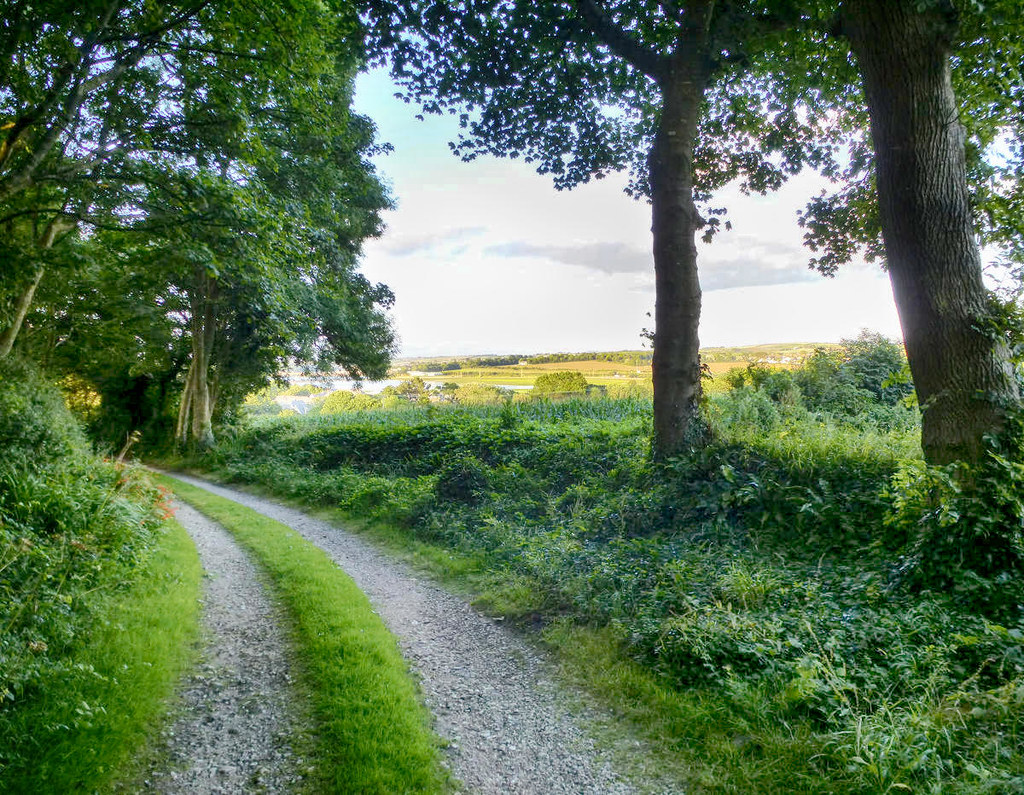 The Golden Cock Footpath in Cornwall. Credit Denis White