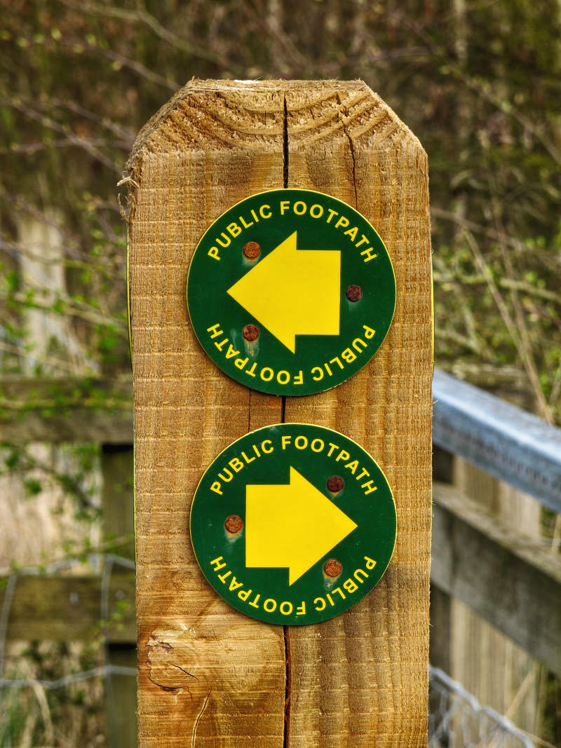 Decisions, decisions. Credit Phil Sangwell