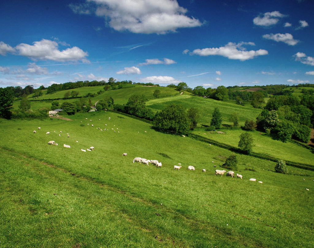 The Cotswold Way. Credit Artur Kozioł