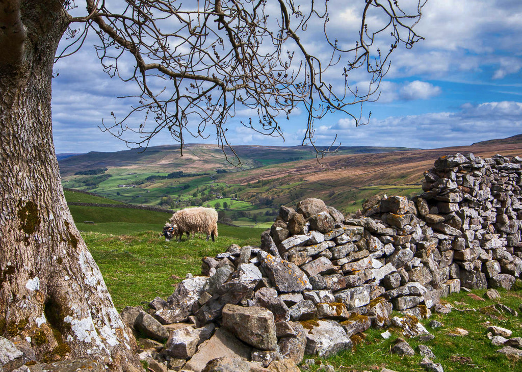 Pennine Way from above Muker. Credit Bob Radlinski, flickr