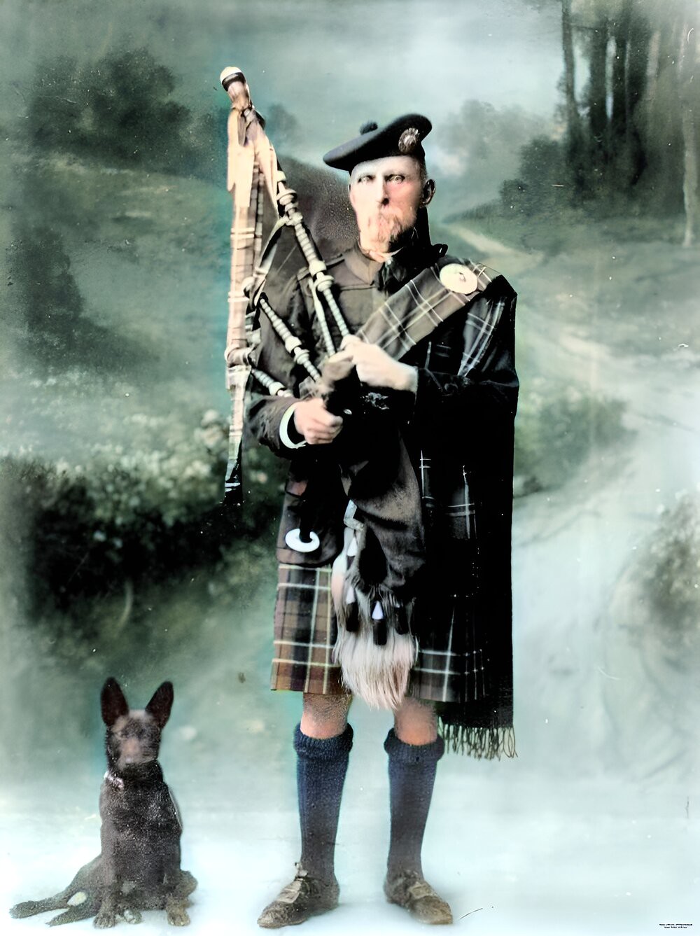 Dog and bagpiper, Bowen, 1921. Studio portrait of a bagpiper in traditional highland dress. A dog sits to the right of the picture, 1921.
