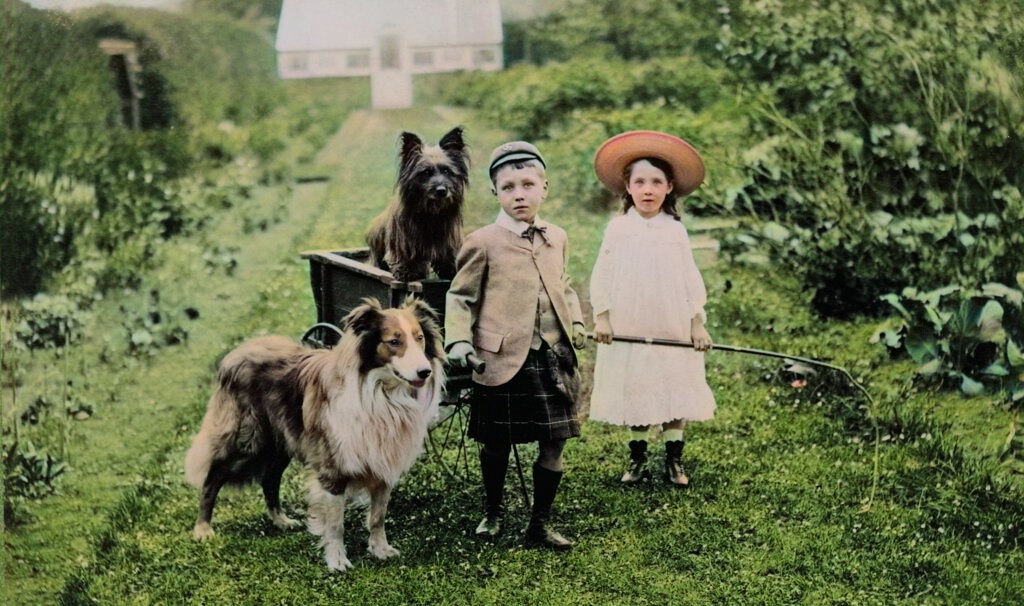 Boy (wearing kilt) and girl with two dogs and a handcart wagon