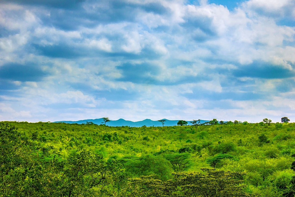 Ngong Hills, Kenya. Credit: Siegmund Kamau.