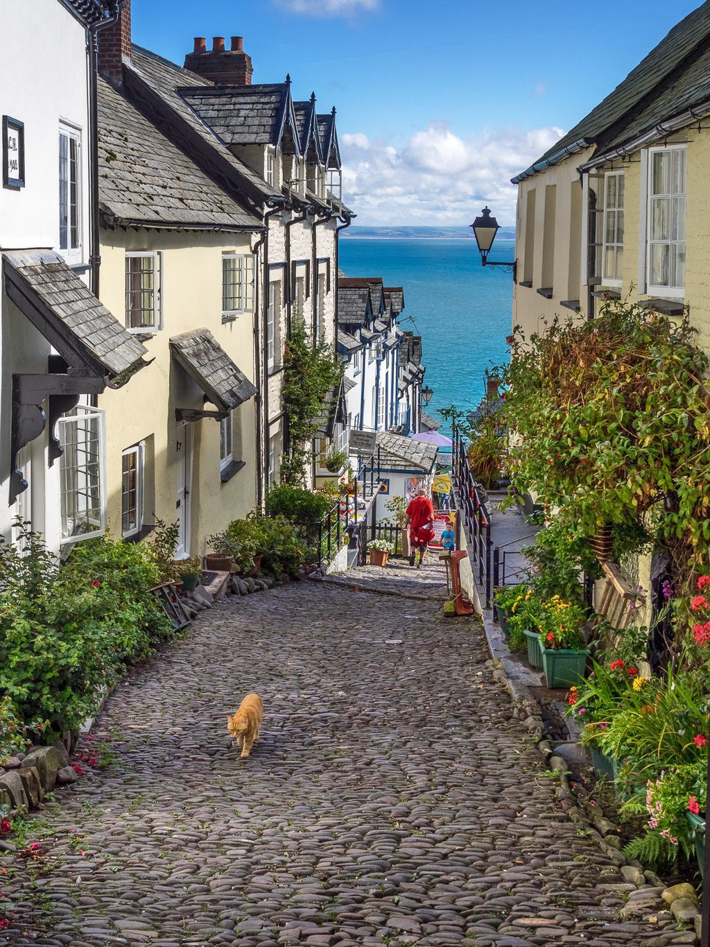 Clovelly Main Street. Credit Bob Radlinski, flickr