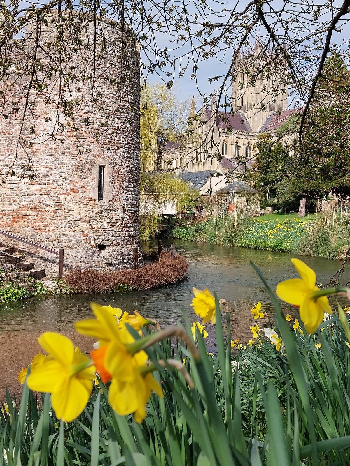 Bishops Palace Gardens, Wells