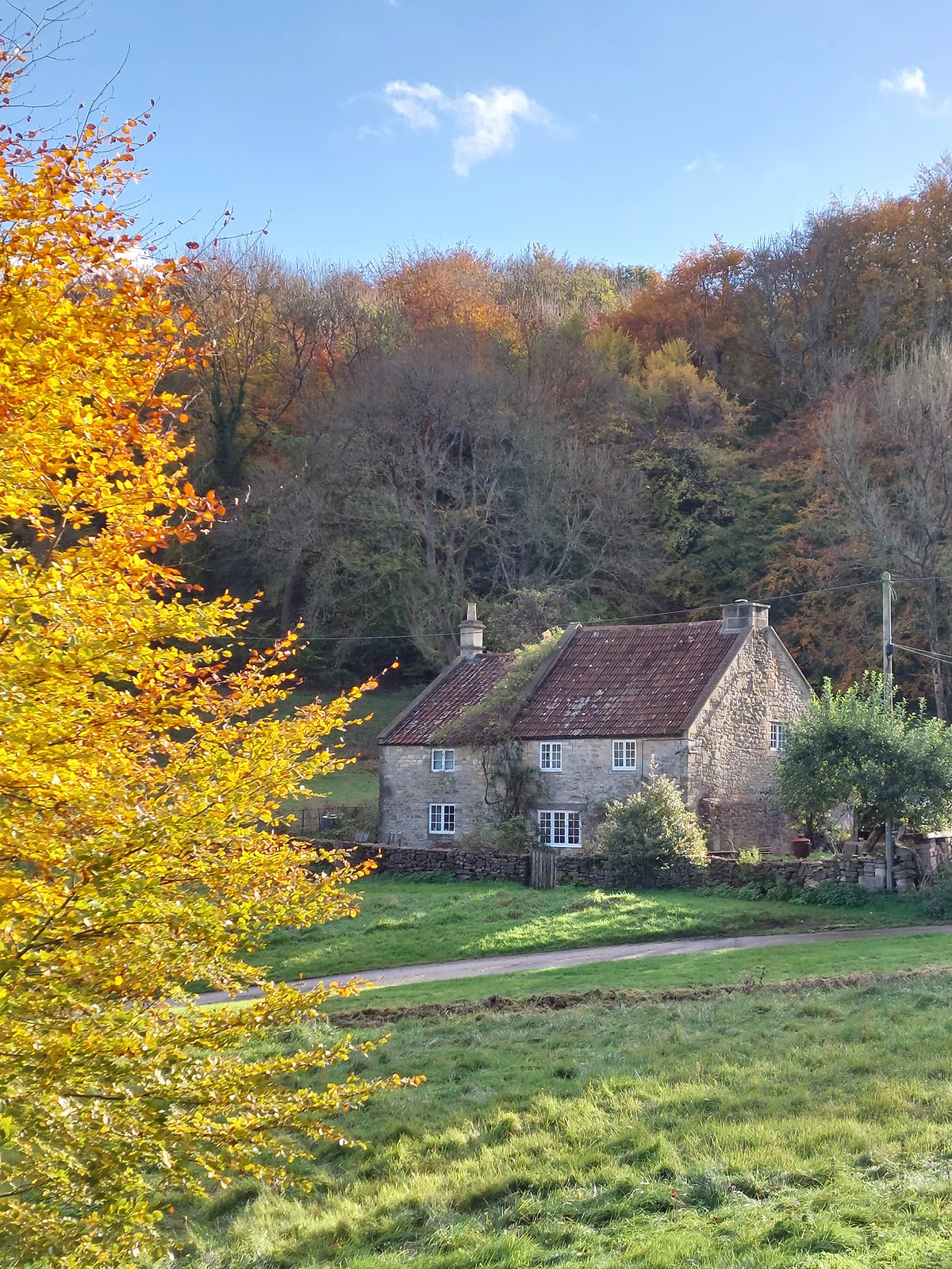 Old woodsman's cottage in the hamlet of Friary