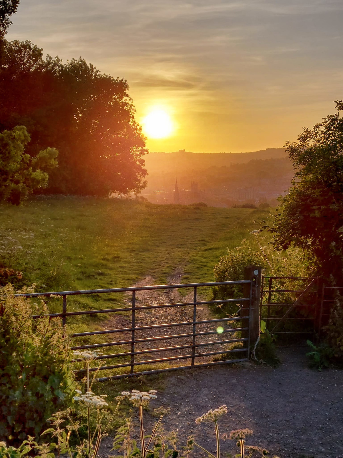 Sunset over the gate in Smallcombe Meadows, Bath
