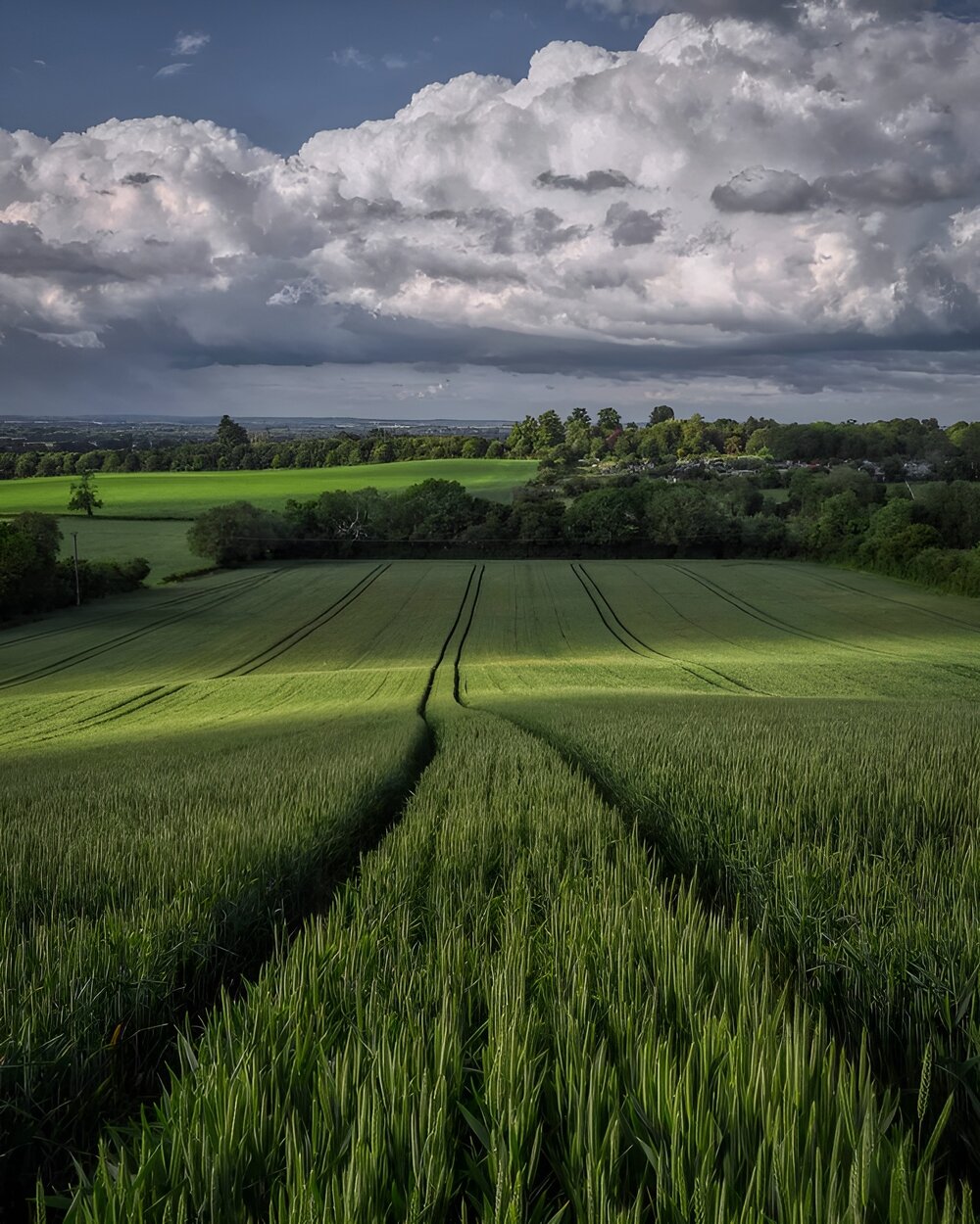 Somerset countryside