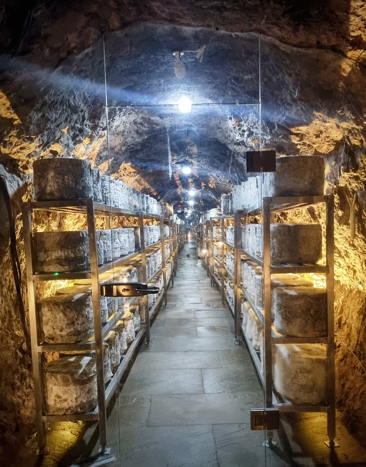 Somerset Cheddar Cheese maturing in the caves of Cheddar Gorge