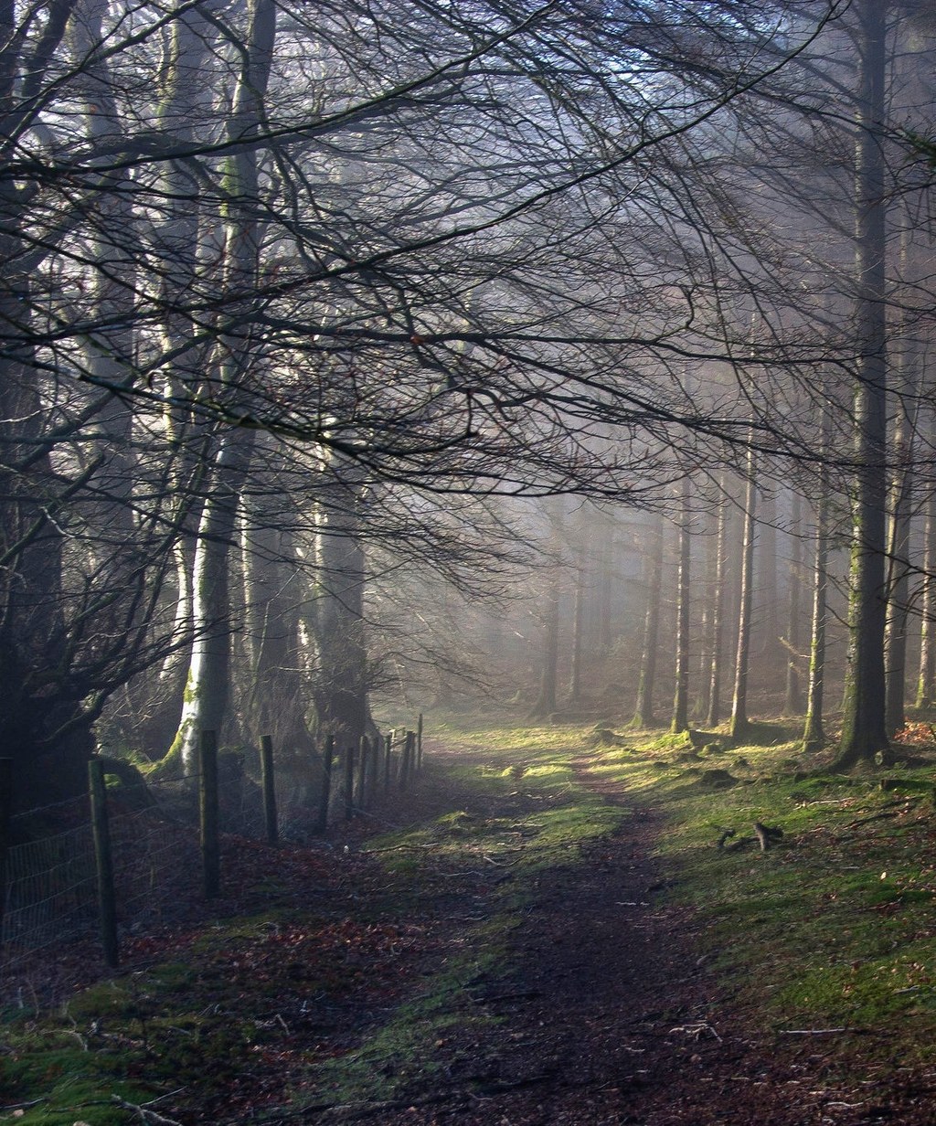 Afternoon in the Quantock Hills